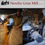 Nathaniel Newlin Grist Mill Park