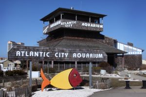 Atlantic City Aquarium