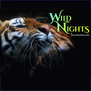 Wild Nights @ the Zoo