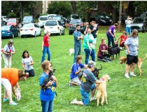 Pet Fest - Puppy Mill Awareness Day