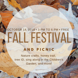 Fall Festival & Picnic