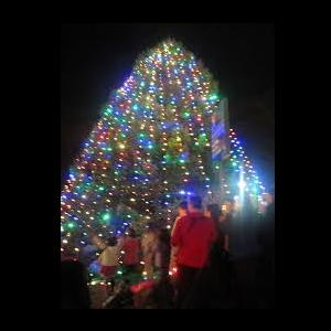Christmas in Wayne Tree Lighting