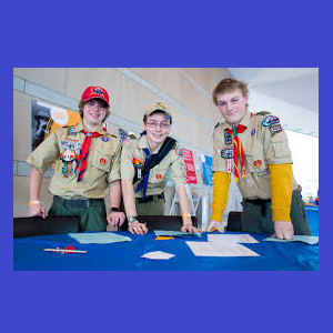 Scout Days - CUB SCOUTS AND SCOUTS BSA