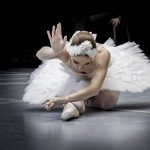Gallery 5 - Chamber Ballet : The Carnival Of The Animals