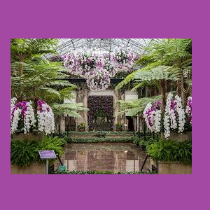 Closed Longwood Gardens Orchid Extravaganza Mainline Neighbors
