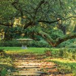 Gallery 6 - Stoneleigh: A Natural Garden