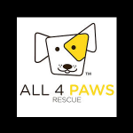 All 4 Paws Rescue Meet & Greet Adoption Day