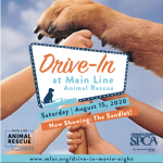 Drive-In at Main Line Animal Rescue: The Sandlot!