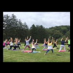 Free Yoga and Fitness in the Park