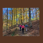 Trail Hike with the Chester County Trail Club