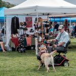 Gallery 1 - Canine Partners for Life’s Fall Festival featuring Cow Bingo