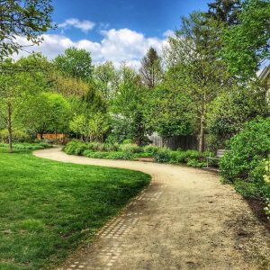 The Friends of Linwood Park