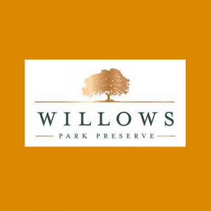 Writing Around the Willows