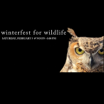 Winterfest for Wildlife