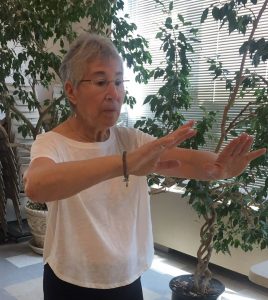 Advanced Tai Chi Class by Zoom Video