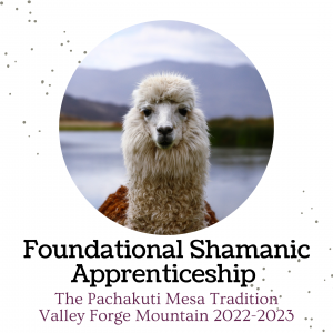 Shamanic Foundational Apprenticeship with Lance & Amy – Valley Forge Mountain 2022-2023