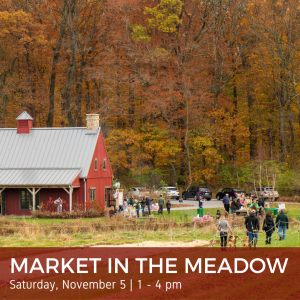 Market in the Meadow