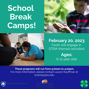 School Break Camp at the Willows Park Preserve