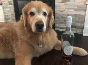 Woof and Wine