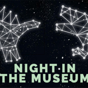 Night in the Museum