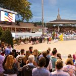 Gallery 3 - Devon Horse Show & Country Fair
