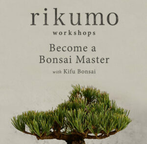 Become a Bonsai Master with Kifu Bonsai