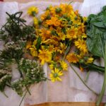 Natural Dyeing with Riverside Plants