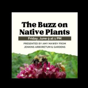 The Buzz on Native Plants