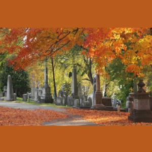 Fall Foliage of Laurel Hill East