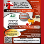 Canine and Feline CPR and First Aid Certification Class