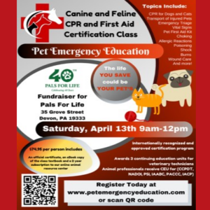 Canine and Feline CPR and First Aid Certification Class
