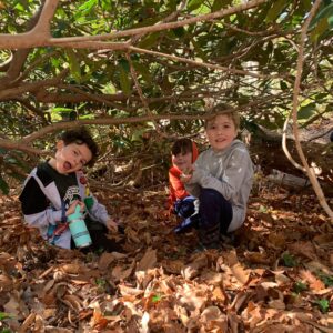 Friends in the Forest: An After School Nature Club