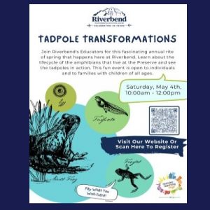 Tadpole Transformations